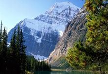 2024 U17亚洲杯预选赛直播在哪看？赛程、参赛队和看点全解析